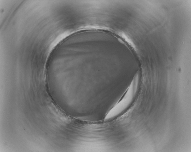 X0000088221173200706051315