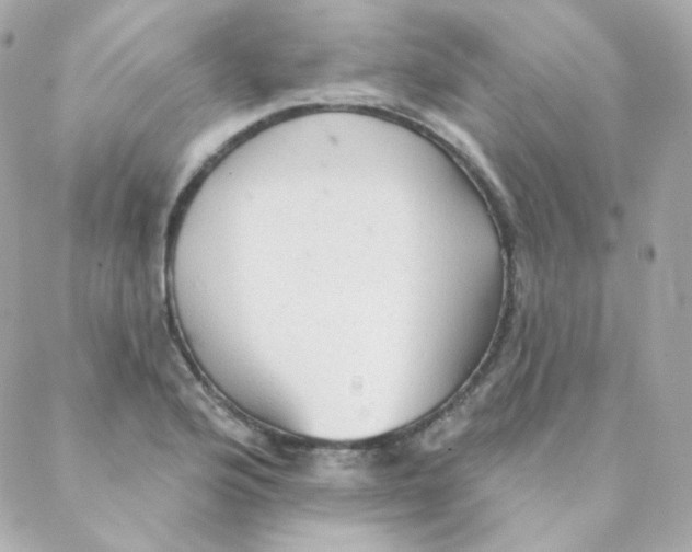 X0000088221176200706051315