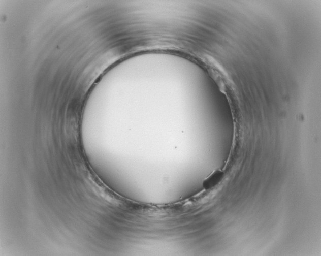 X0000088221177200706051315