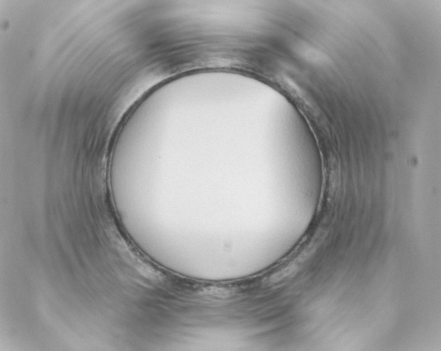 X0000088221178200706051315