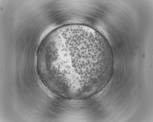 X0000088221179200706051315