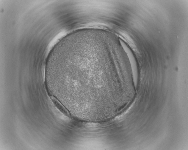 X0000088221180200706051315