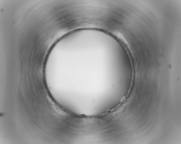 X0000088221181200706051315