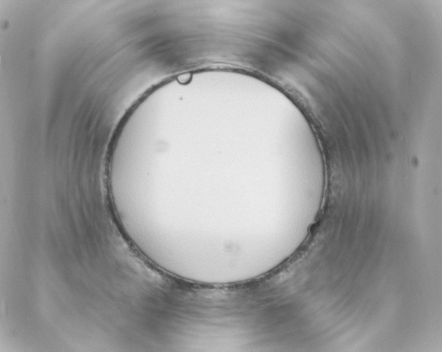 X0000088221182200706051315