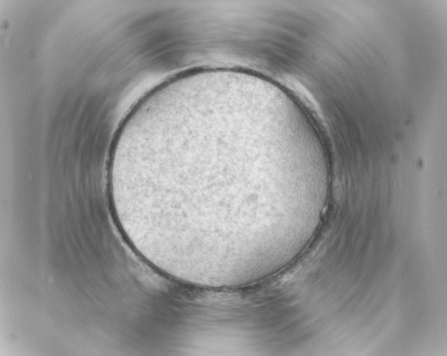 X0000088221183200706051315