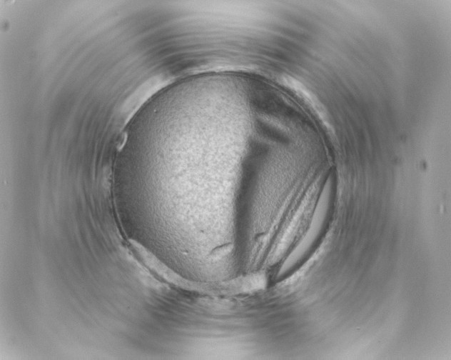 X0000088221185200706051315