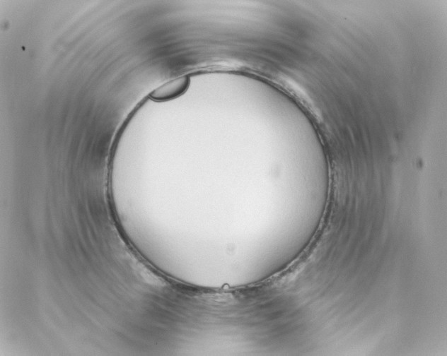 X0000088221186200706051315