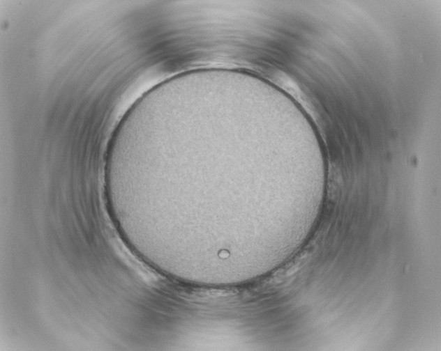 X0000088221187200706051315