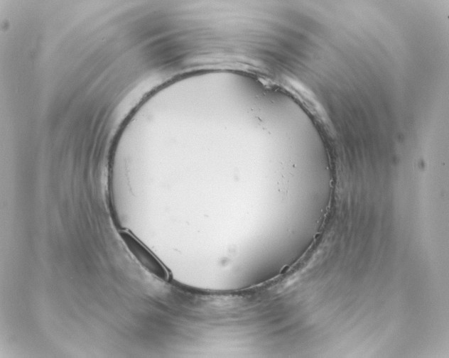 X0000088221188200706051315