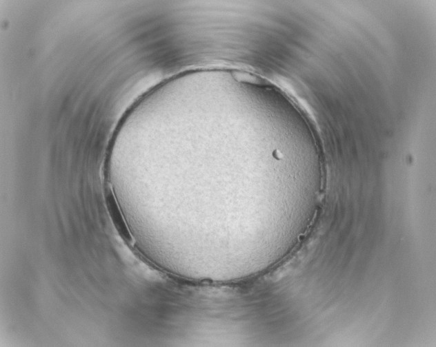 X0000088221189200706051315