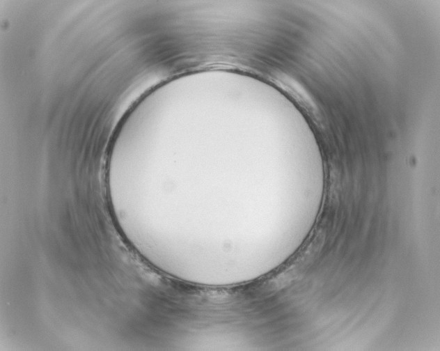 X0000088221190200706051315