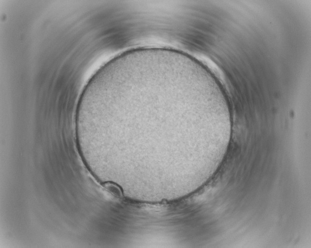 X0000088221191200706051315