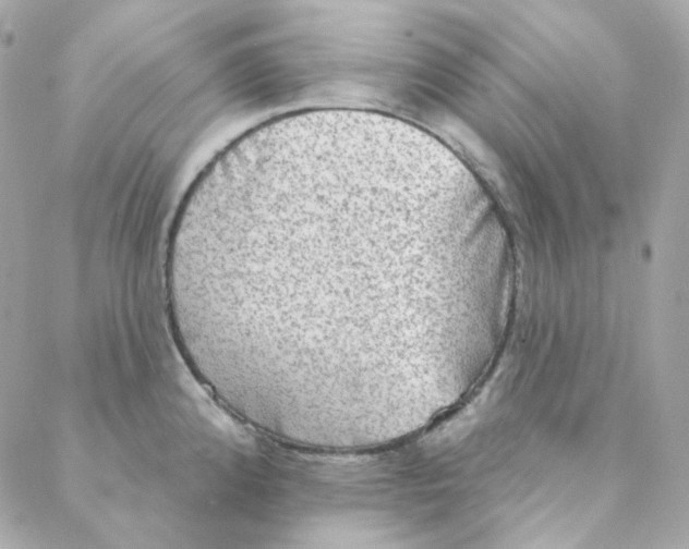 X0000088221192200706051315