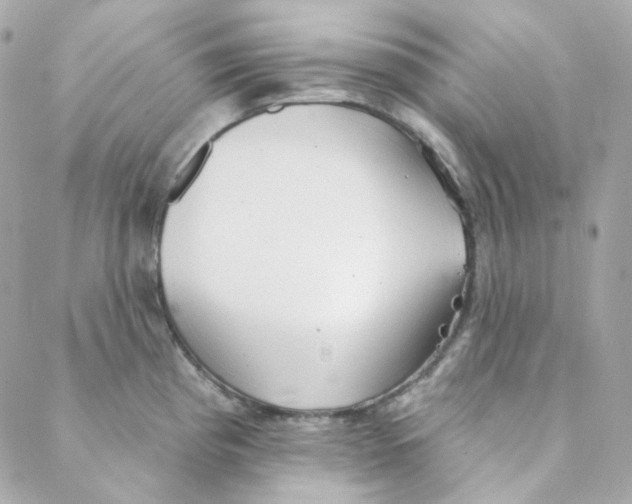 X0000088221193200706051315