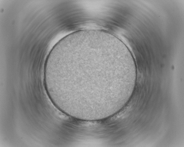 X0000088221195200706051315