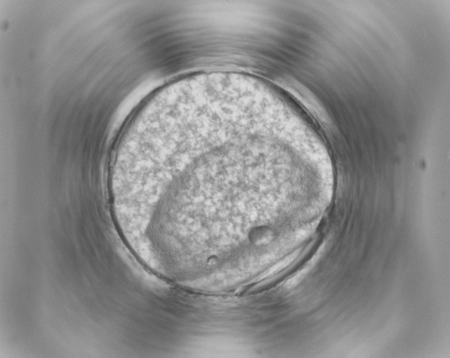 X0000088221196200706051315