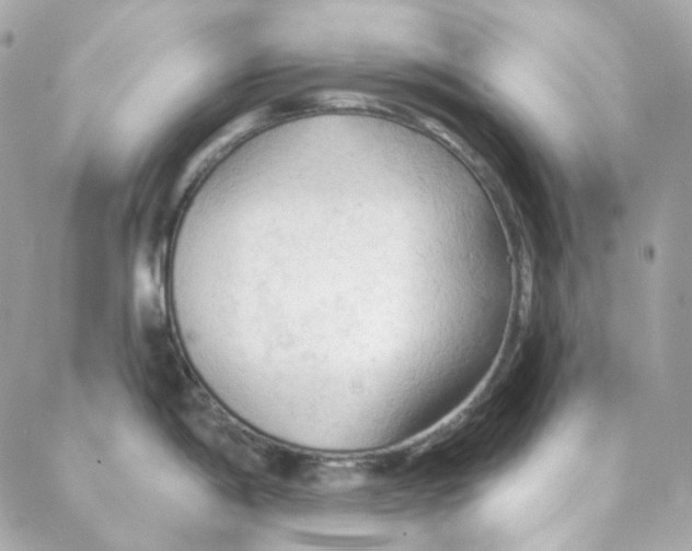 X0000088221198200706051315