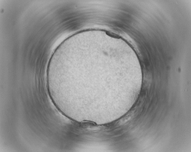 X0000088221199200706051315