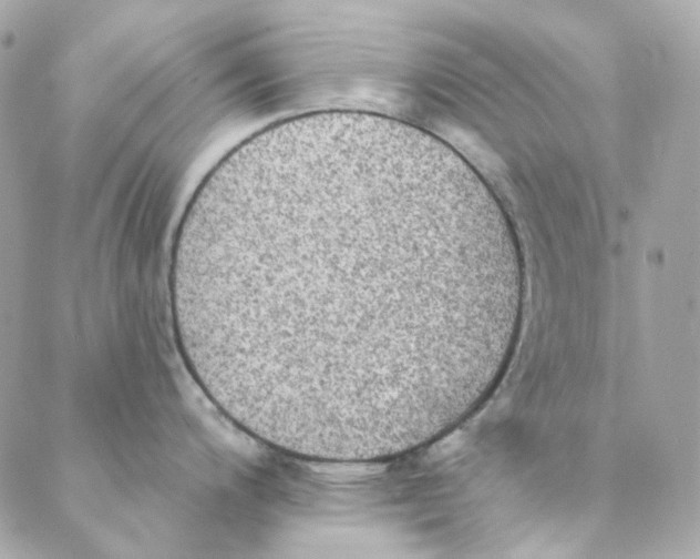 X0000088221200200706051314