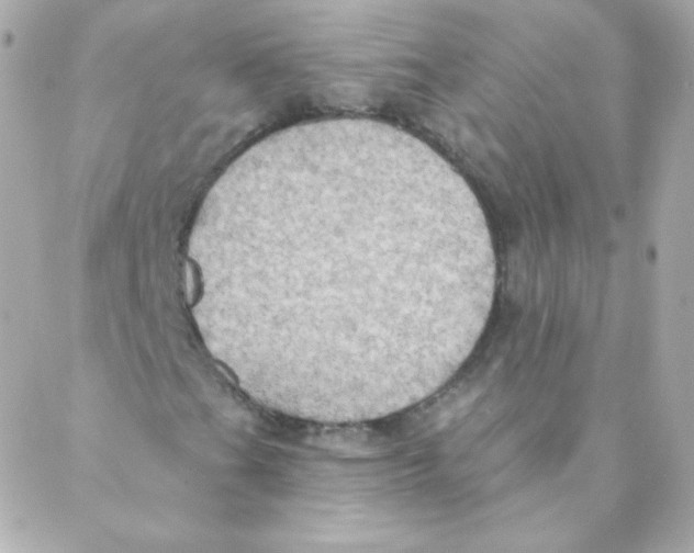 X0000088221201200706051314