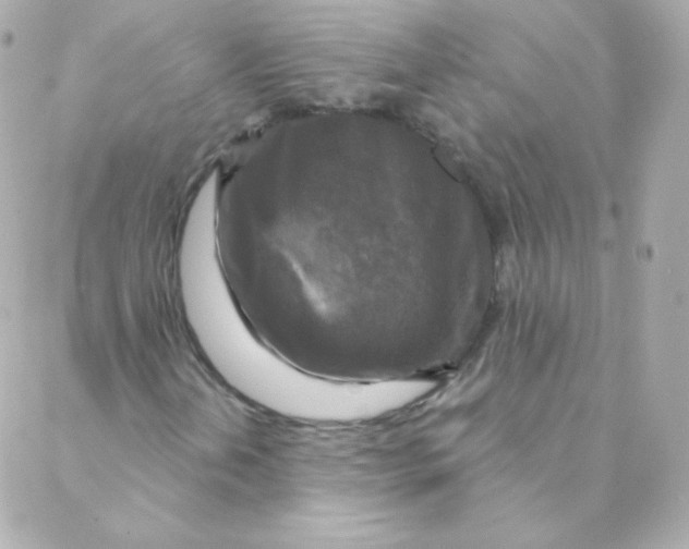 X0000088221202200706051314