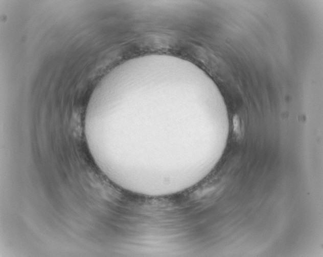 X0000088221203200706051314