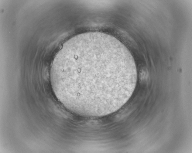 X0000088221204200706051314