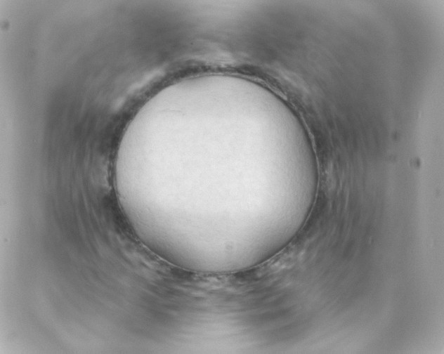 X0000088221205200706051314