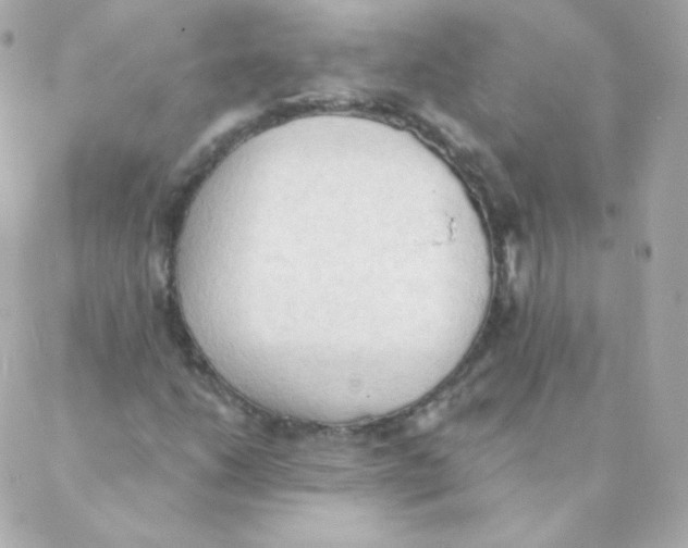 X0000088221206200706051314