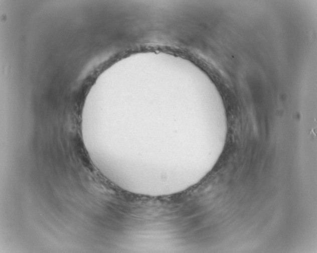 X0000088221207200706051314