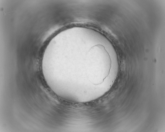 X0000088221208200706051314