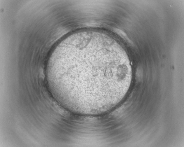 X0000088221209200706051314