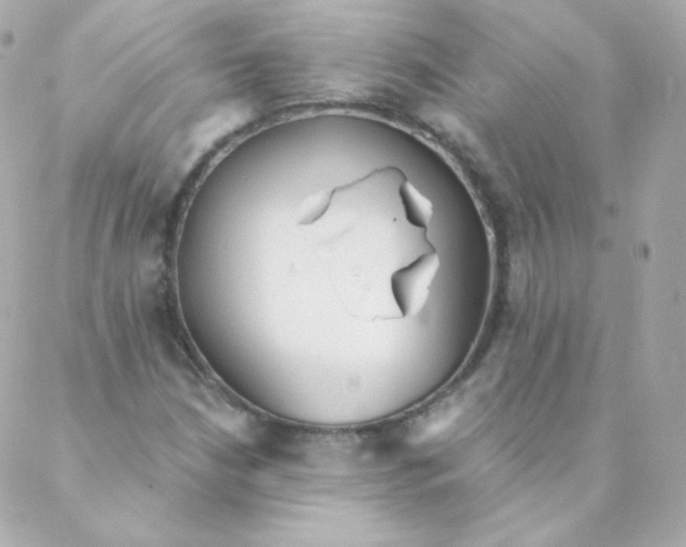 X0000088221210200706051314