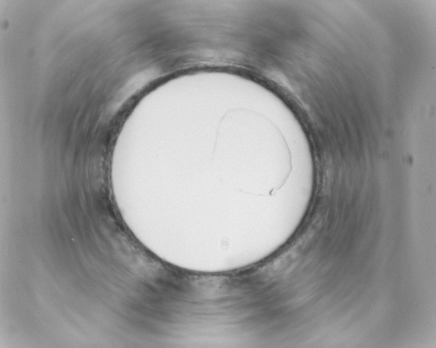 X0000088221211200706051314