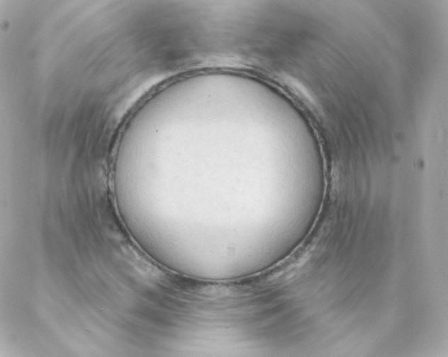 X0000088221212200706051314