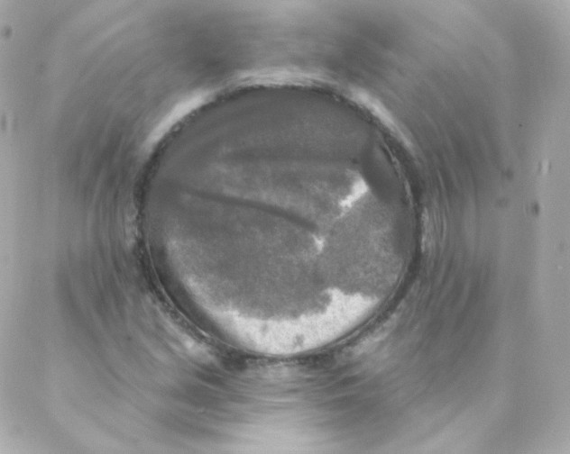 X0000088221213200706051314