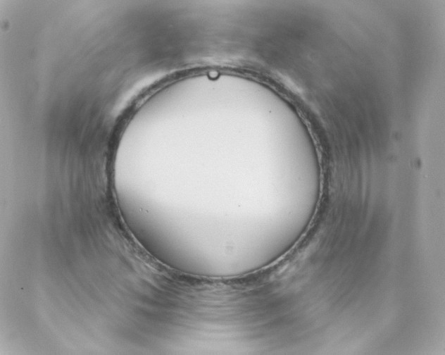 X0000088221214200706051314