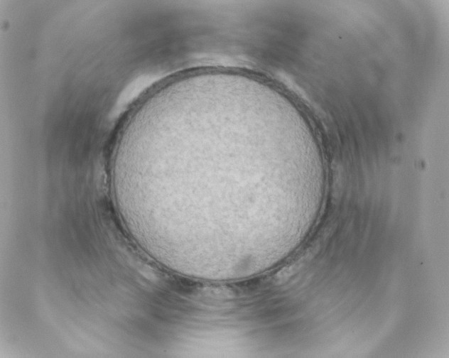 X0000088221215200706051314