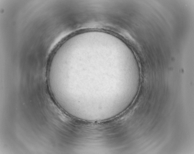 X0000088221216200706051314