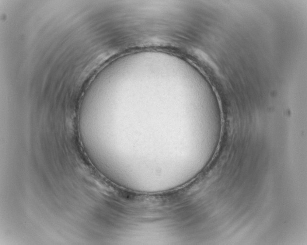 X0000088221217200706051314