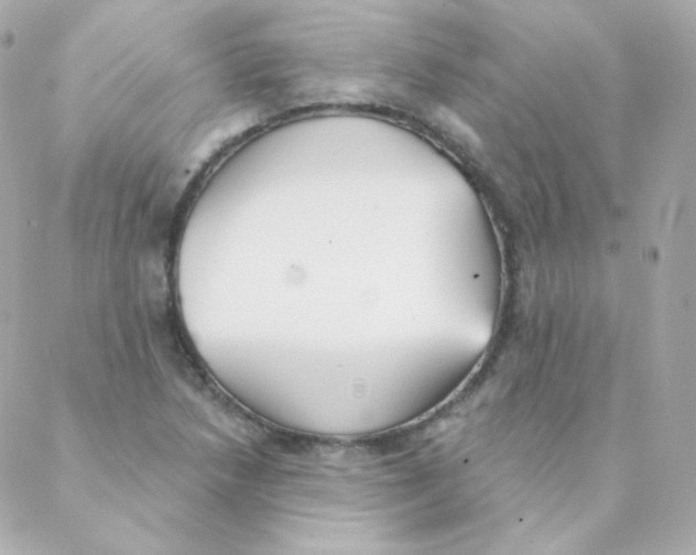 X0000088221218200706051314