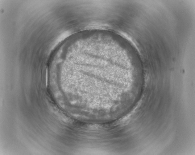 X0000088221219200706051314