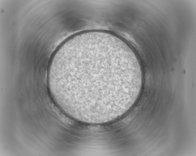 X0000088221220200706051314