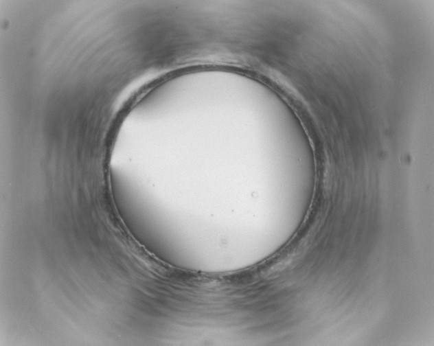 X0000088221222200706051314