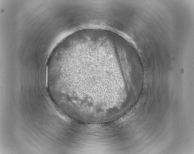 X0000088221223200706051314