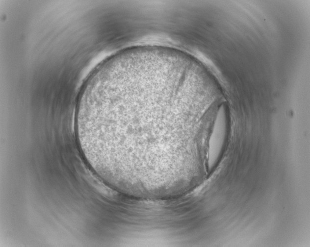 X0000088221224200706051314