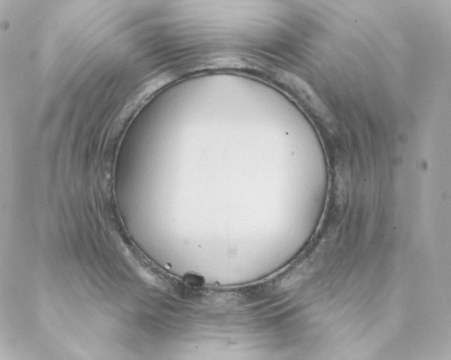 X0000088221225200706051314