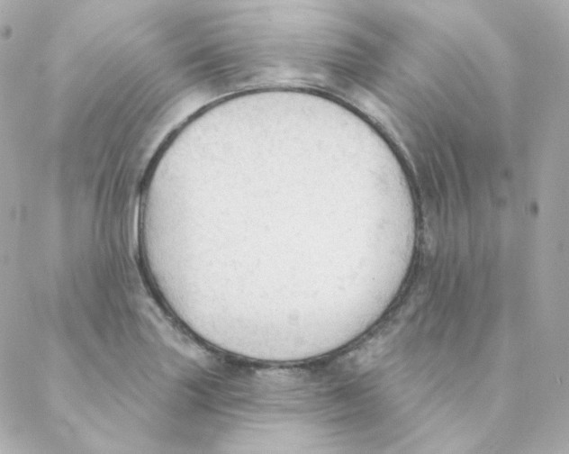 X0000088221227200706051314