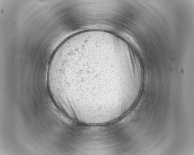 X0000088221228200706051314