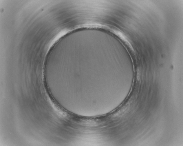 X0000088221229200706051314